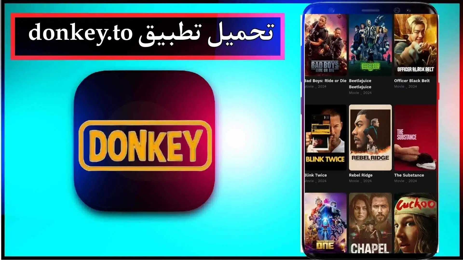  Donkey 