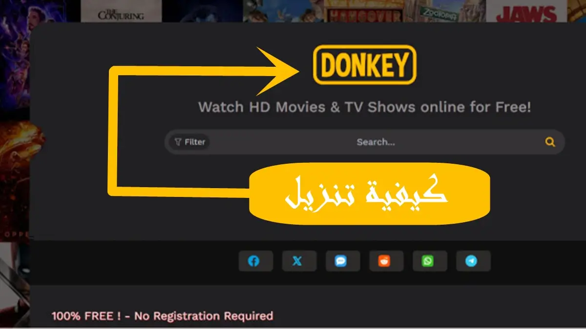 Donkey 