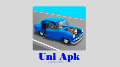 Idle Racer